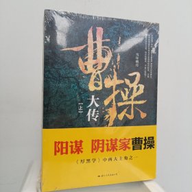 曹操大传（上下册）