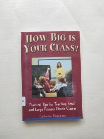 HOW BIG IS YOUR CLASS?