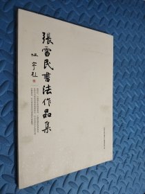 张雷民书法作品集