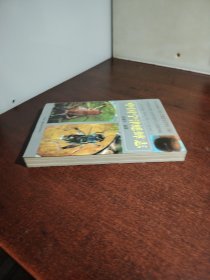 中国宁津蟋蟀志