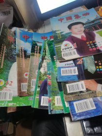 中国气功 1999年1-12期全