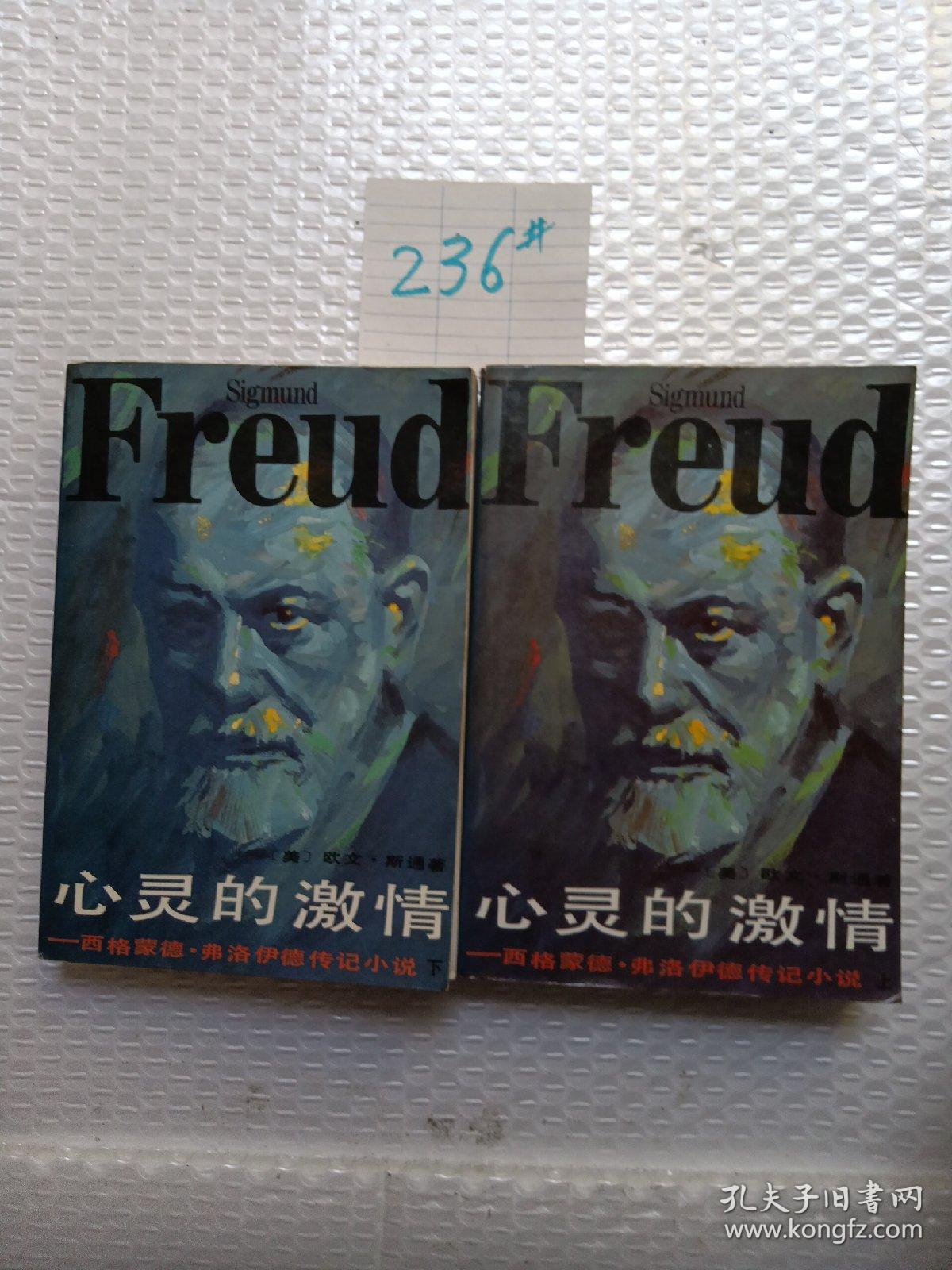 心灵的激情：弗洛伊德传记小说（上、下）