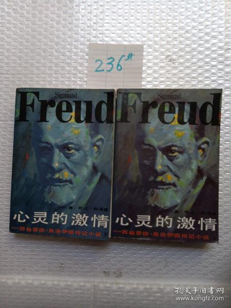 心灵的激情：弗洛伊德传记小说（上、下）