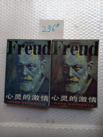 心灵的激情：弗洛伊德传记小说（上、下）