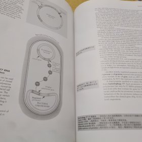 分子生物学（第2版）