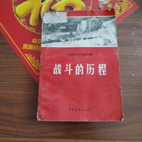 中国青年的光荣传统丛书：战斗的历程