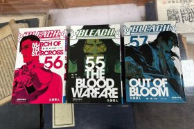 BLEACH 55 境·界: 血战 56 境·界 ：星十字军的进军 57 境·界 ：调零 3册合售