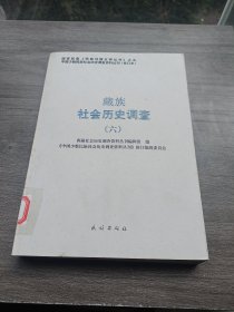 藏族社会历史调查六