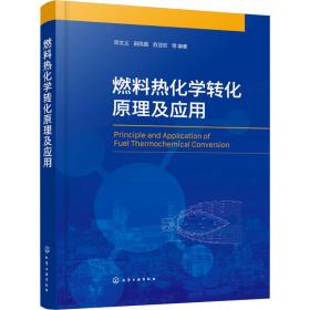 燃料热化学转化及应用 能源科学 作者 新华正版