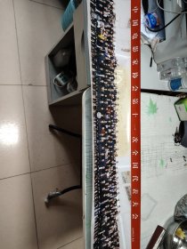 中国电影家协会第十一次全国代表大会