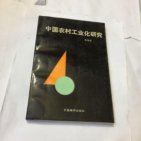 中国农村工业化研究，