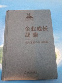 企业成长战略•32开精装版