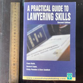 A PRACTICAL GUIDE TO LAWYERING SKILLS how to be good lawyer 英文原版