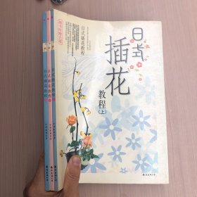 日式插花教程（上中下有光盘）