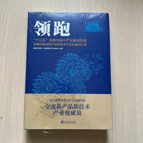 领跑:十三五战略性新兴产业重点区域重点发展前瞻与新产品新技术产业化案例汇编