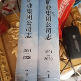 临沂矿业集团公司志：1991—2020