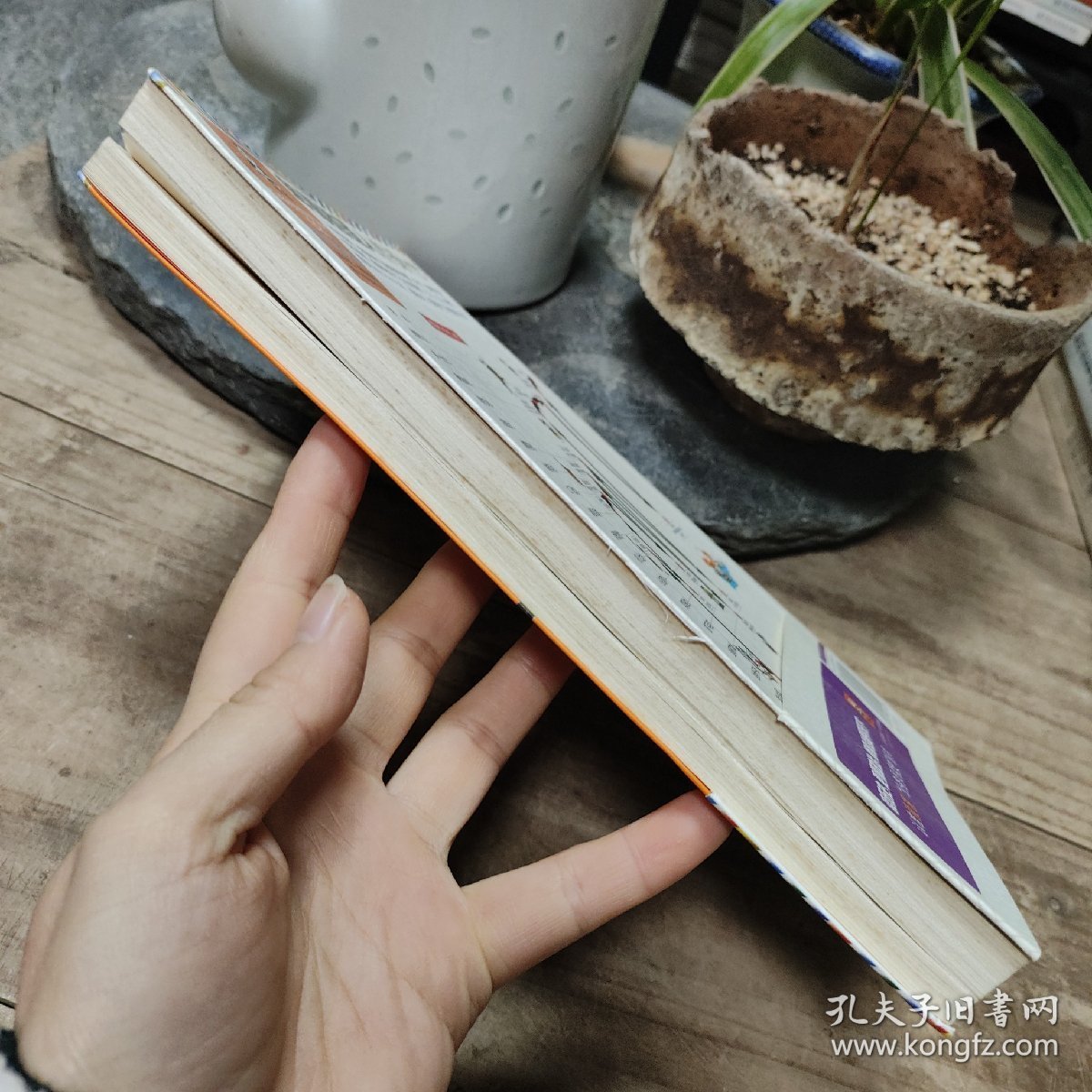 卑鄙的圣人：曹操.第9部