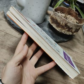 卑鄙的圣人：曹操.第9部