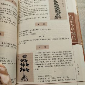 国学大书院：白话本草纲目