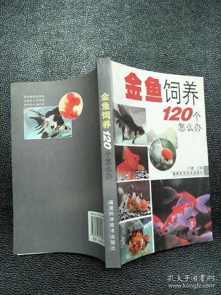 金鱼饲养120个怎么办