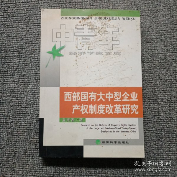 西部国有大中型企业产权制度改革研究