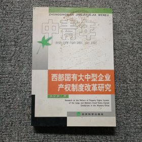 西部国有大中型企业产权制度改革研究