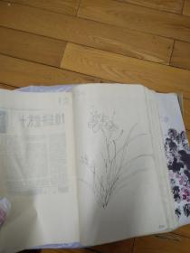 花鸟画技巧手稿厚厚一本，400余页，包括数十枚手绘写生花鸟画粘贴其中，