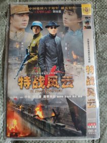 光盘，特战风云DVD（2碟简装），