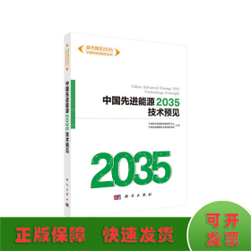 中国先进能源2035技术预见