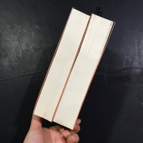 红楼梦（上下册）