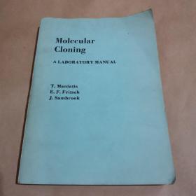 分子克隆实验手册（英文）