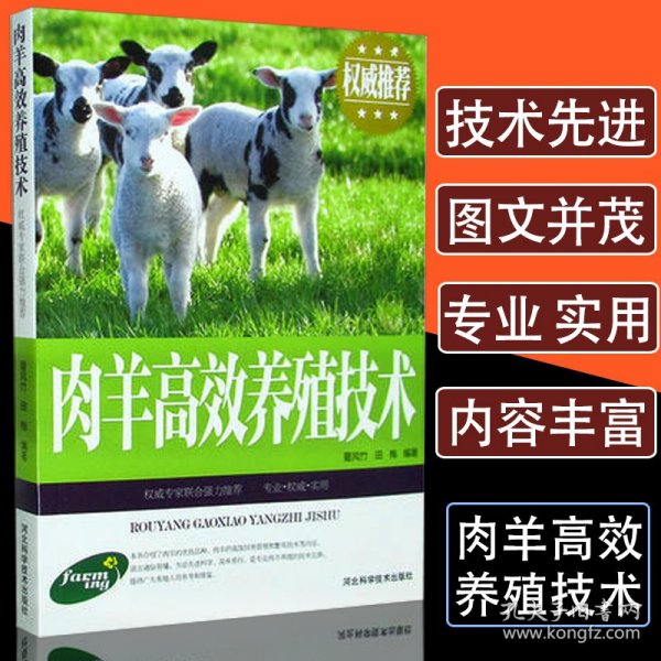 肉羊高效养殖技术