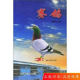 赛鸽