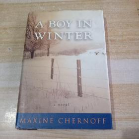 A BOY IN WINTER  冬天里的男孩