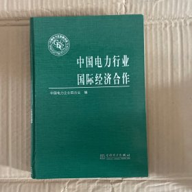 中国电力行业国际经济合作