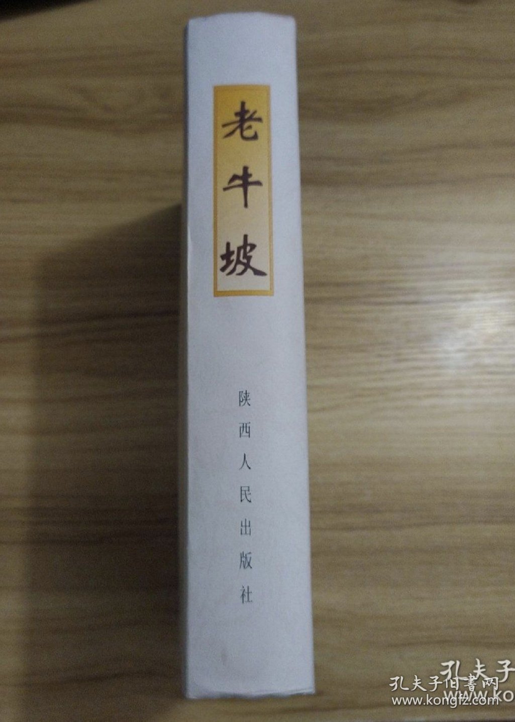 老牛坡:西北大学考古专业田野发掘报告