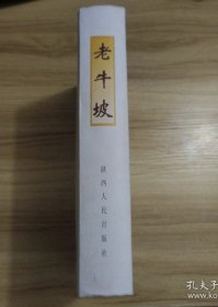 老牛坡:西北大学考古专业田野发掘报告
