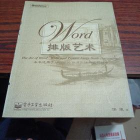 Word排版艺术（几乎全新内干净）