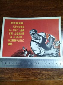 漂亮
