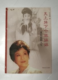 天下掉下个林妹妹—我的越剧人生