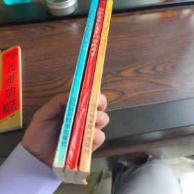 中国安堂山道家内功内丹术（一二三3本合售7