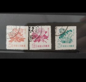 普10花卉图案邮票盖销（顺戳）