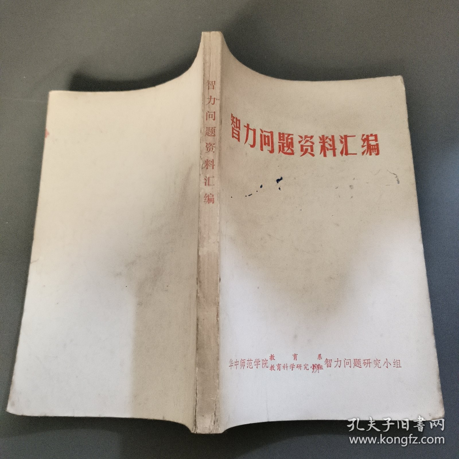 智力问题资料汇编