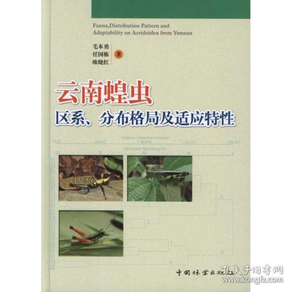 普通高等教育“十一五”国家级规划教材：云南蝗虫区系、分布格局及适应特性