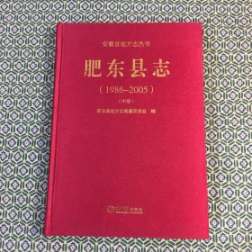 肥东县志（1986-2005 ）（中册）单册