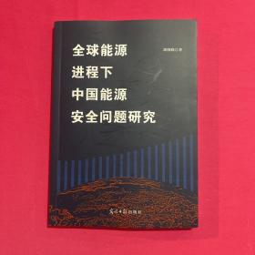 全球能源进程下中国能源安全问题研究