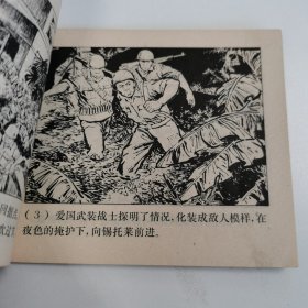 精品连环画：《机智勇敢打豺狼》