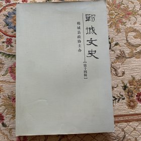 郸城文史【第十四辑】