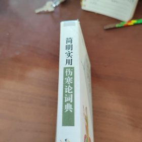 简明实用伤寒论词典