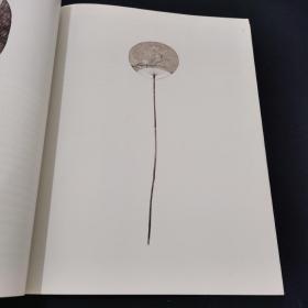新画风（1）